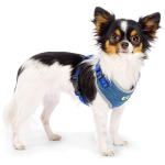 Ferplast Nikita PM Dog Harness XS Blue – Breathable Nylon for Small & Medium Dogs
