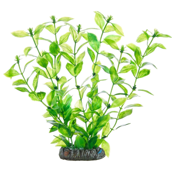 Hobby Aquarium Artificial Plant – Hygrophila Large 20cm