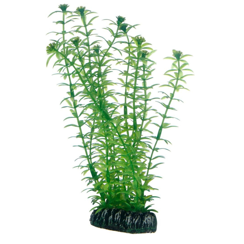 Untitled design - 2025-08-02T181527.570 Hobby Green 20cm Artificial Plant for Aquariums