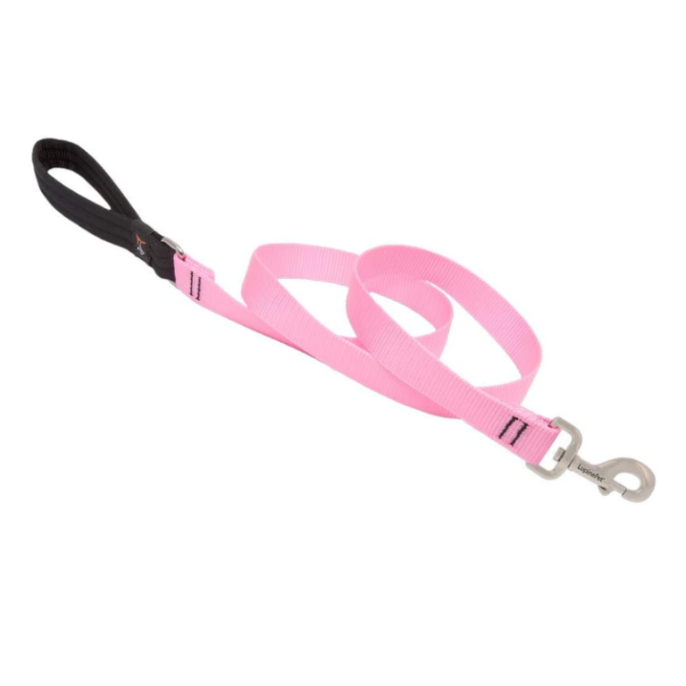 Pink Dog Leash, Lupine Dog Leash, Padded Handle Leash, Medium Dog Leash, 4ft Leash, Durable Nylon Leash, Bright Color Leash, Pet Walking Gear
