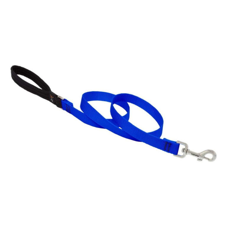 Lupine Basics Blue Dog Leash with Padded Handle – 122cm (4ft x 3/4 inch)