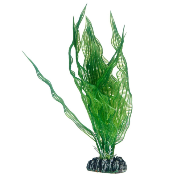 Hobby Aquarium Décor Artificial Plant – Aponogeton Medium 25 cm