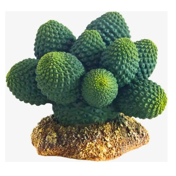 Hobby Brown and Green Artificial Atacama Cactus for Aquariums 7x6x5cm