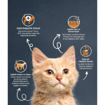 Reflex Dry Food with Chicken, Flaxseed & Rice for Kittens – 2KG