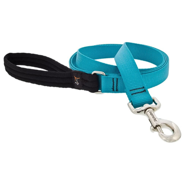 Lupine Pet Basic Solids Aqua Blue Dog Leash with Padded Handle (122x30cm)