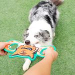 Interactive Tiger Dog Toy with Squeaker - Petopia.ae