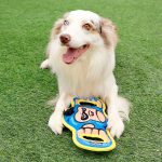 Gigwi Double Handle Dog Tug Toy with Squeaker