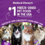 Stella & Chewy's Freeze-Dried Raw Cat Dinner Morsels – Grain Free, Protein Rich Cat & Kitten Food – Chick Chick Chicken Recipe – 1 oz Bag