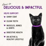 Stella & Chewy's Freeze-Dried Raw Cat Dinner Morsels – Grain Free, Protein Rich Cat & Kitten Food – Chick Chick Chicken Recipe – 1 oz Bag
