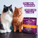 Stella & Chewy's Freeze-Dried Raw Cat Dinner Morsels – Grain Free, Protein Rich Cat & Kitten Food – Chick Chick Chicken Recipe – 1 oz Bag