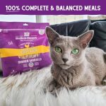 Stella & Chewy's Freeze-Dried Raw Cat Dinner Morsels – Grain Free, Protein Rich Cat & Kitten Food – Chick Chick Chicken Recipe – 1 oz Bag