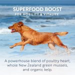 ZIWI Peak Wet Dog Food Beef Recipe 390g Can