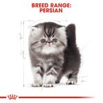 Royal Canin Persian Kitten Dry Food 2kg Bag