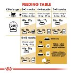 Royal Canin Persian Kitten Dry Food 2kg Bag