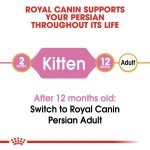 Royal Canin Persian Kitten Dry Food 2kg Bag