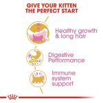 Royal Canin Persian Kitten Dry Food 2kg Bag