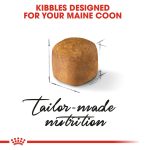Royal Canin Dry Food for Maine Coon Kittens (Up to 15 Months) 2 kg