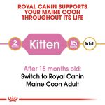 Royal Canin Dry Food for Maine Coon Kittens (Up to 15 Months) 2 kg