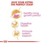 Royal Canin Dry Food for Maine Coon Kittens (Up to 15 Months) 2 kg