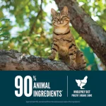 Orijen Guardian 8 Dry Cat Food 340g Bag