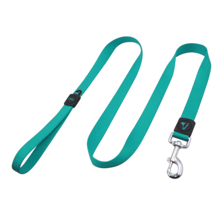 DOCO® Signature Nylon Leash - 6ft-1.5 x 180cm (S)-Turquoise