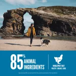 Orijen Six Fish Dry Dog Food 11.4kg