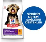 Hill's Science Plan Sensitive Stomach & Skin Dog Food 1.5kg