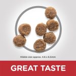 Hill's Science Plan Small Breed Puppy Food