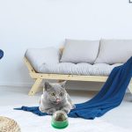 Catnip Silvervine Balls,Rotatable Edible Kitten Toys for Cats Lick - Healthy Teeth Cleaning Toys, Ball Edible Kitten Toys, Cat Wall Treats, Catnip Lickable Balls Pochy