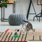 Catnip Silvervine Balls,Rotatable Edible Kitten Toys for Cats Lick - Healthy Teeth Cleaning Toys, Ball Edible Kitten Toys, Cat Wall Treats, Catnip Lickable Balls Pochy