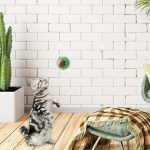 Catnip Silvervine Balls,Rotatable Edible Kitten Toys for Cats Lick - Healthy Teeth Cleaning Toys, Ball Edible Kitten Toys, Cat Wall Treats, Catnip Lickable Balls Pochy