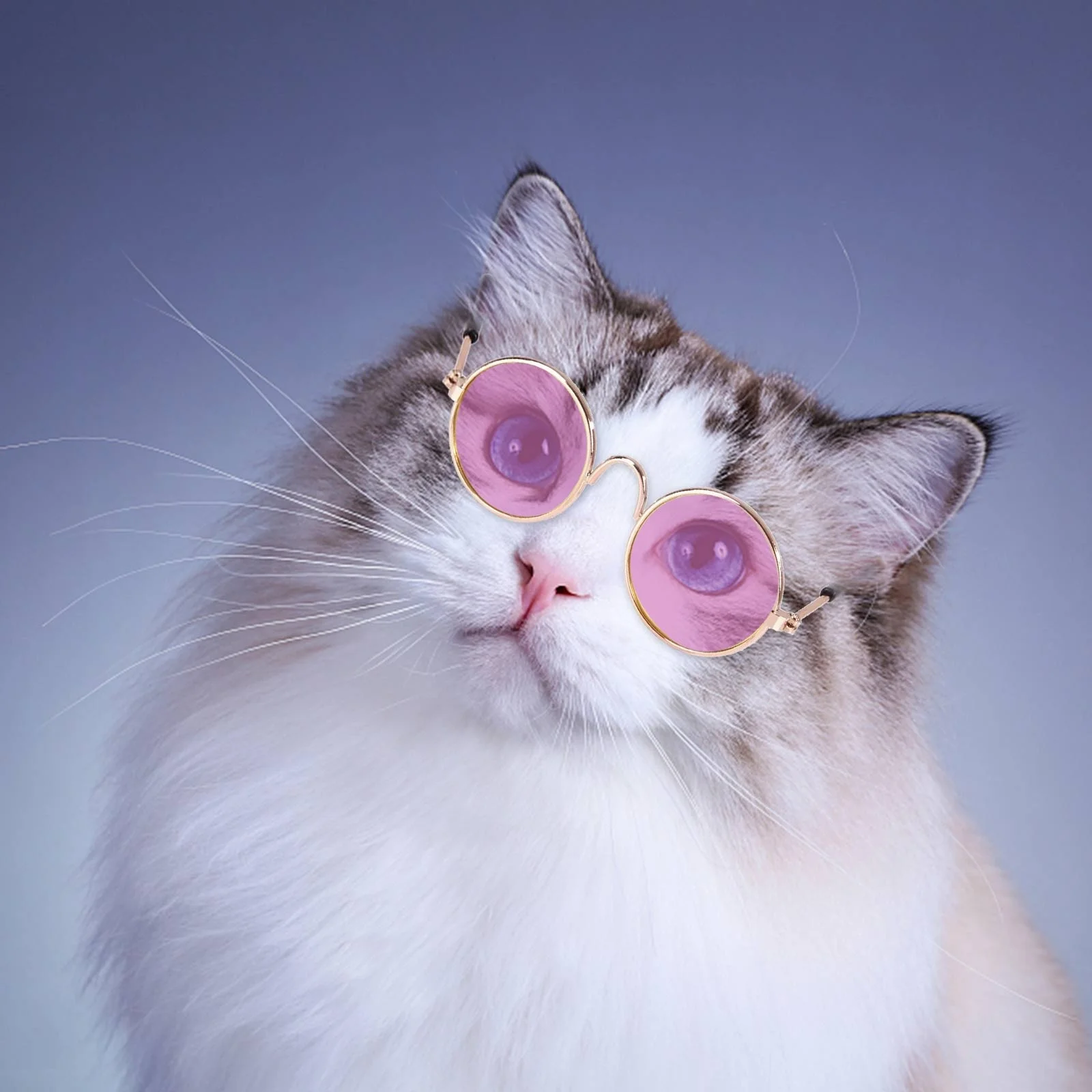 089d7095-4267-4de3-b092-57d4f0df831f.6d47a4546f9659b6803c3ab3554e1450