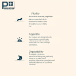 Pro Nutrition Prestige Adult Medium Dog Dry Food 14Kg