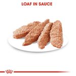Royal Canin Exigent for All Breeds Wet Dog Food 85G