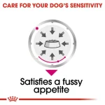Royal Canin Exigent for All Breeds Wet Dog Food 85G